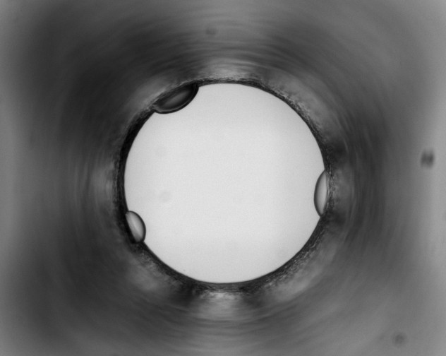 X0000103430352200810241104