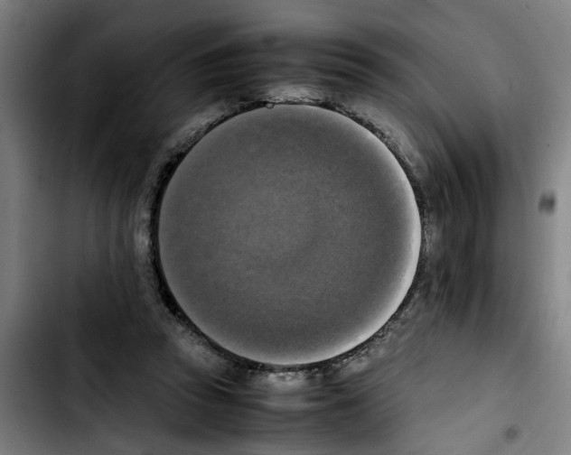 X0000103430353200810241104