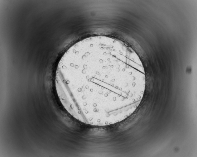 X0000103430354200810241104