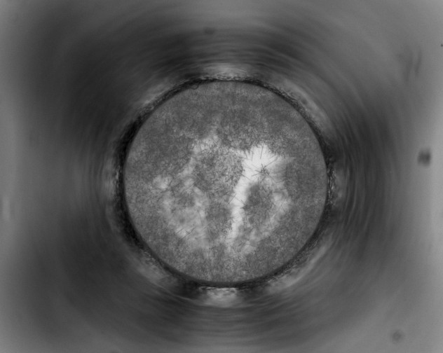X0000103430355200810241104