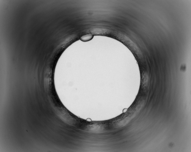 X0000103430356200810241104