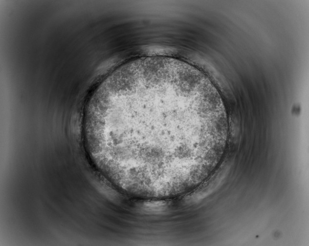 X0000103430357200810241104