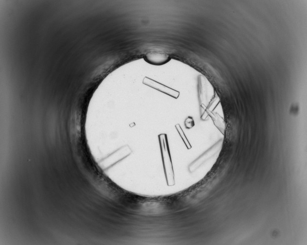 X0000103430358200810241104