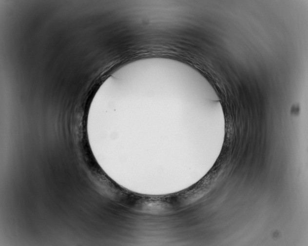 X0000103430360200810241104