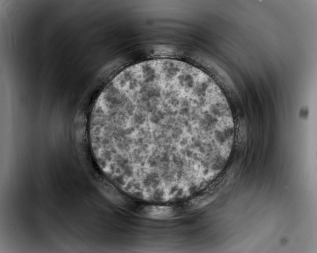 X0000103430361200810241104