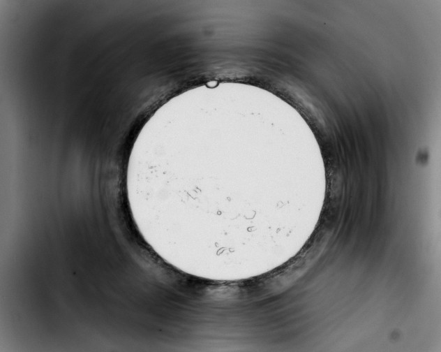 X0000103430362200810241104