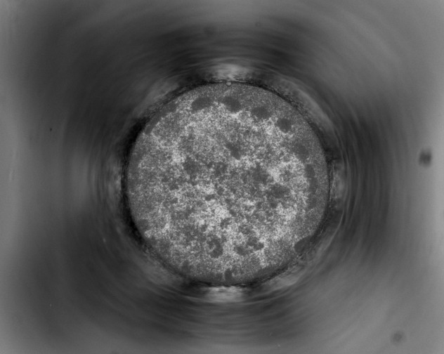 X0000103430363200810241104