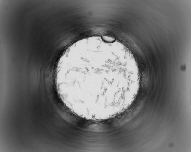 X0000103430364200810241104