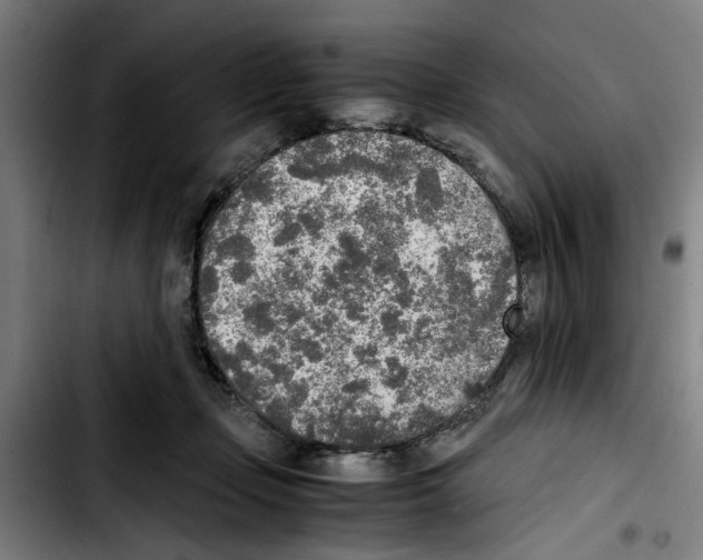 X0000103430365200810241104