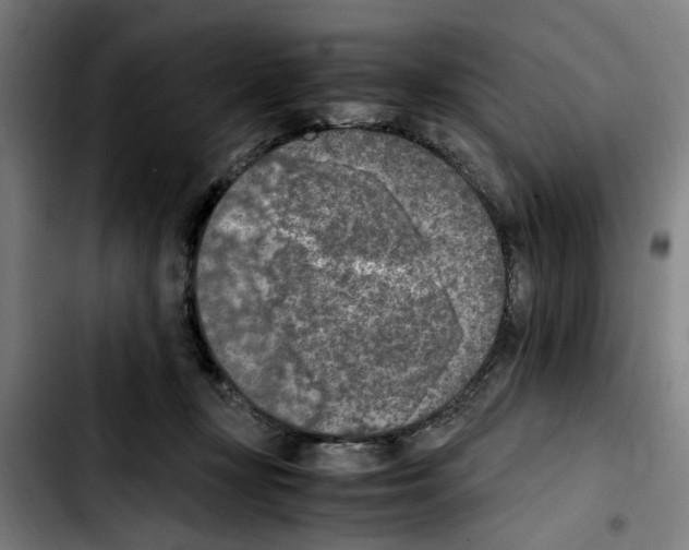 X0000103430367200810241104