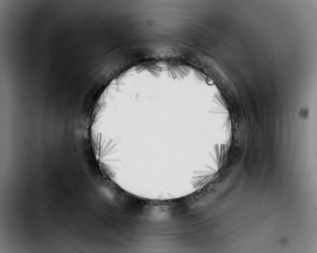 X0000103430368200810241104