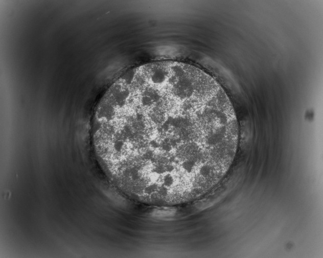 X0000103430369200810241104