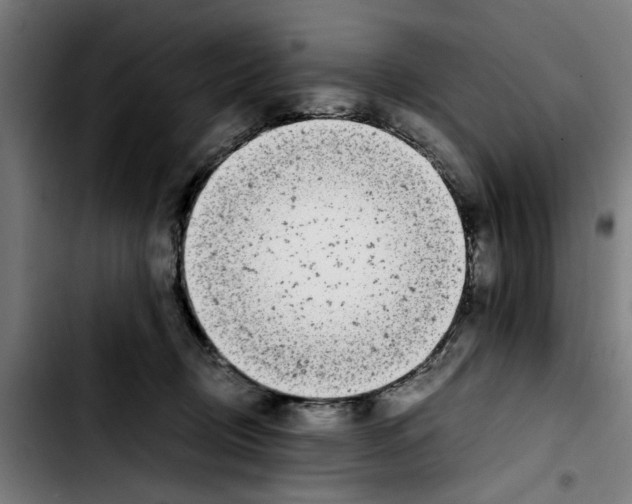 X0000103430370200810241104