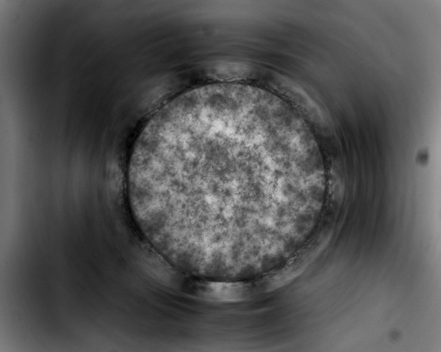 X0000103430371200810241104