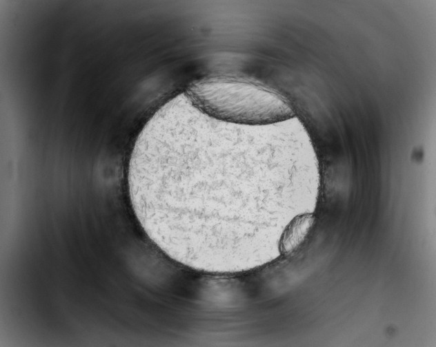 X0000103430372200810241104