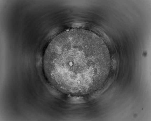 X0000103430375200810241104