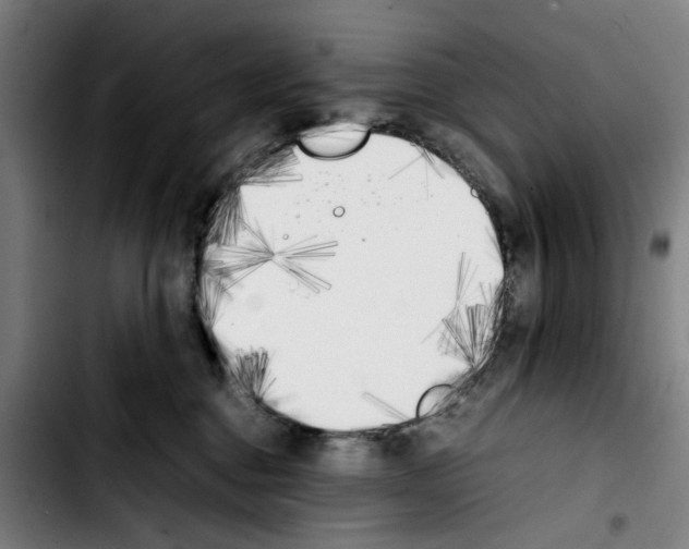X0000103430376200810241104