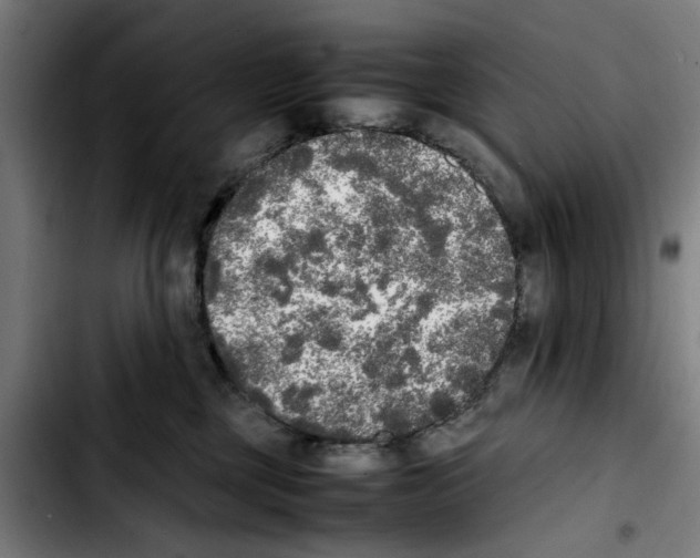 X0000103430377200810241104