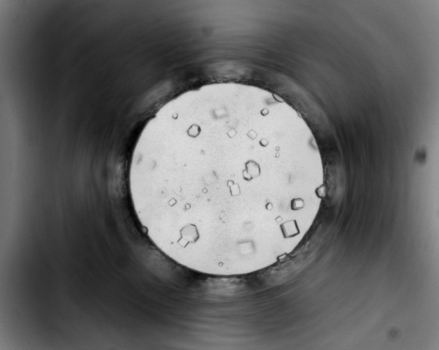 X0000103430378200810241104