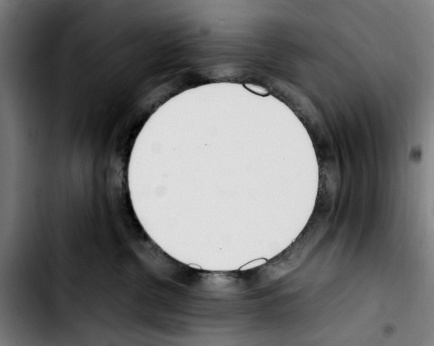X0000103430380200810241104