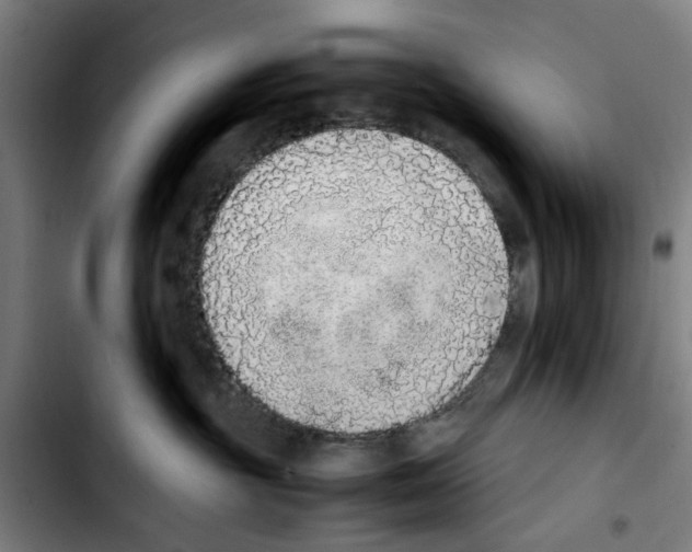 X0000103430381200810241104