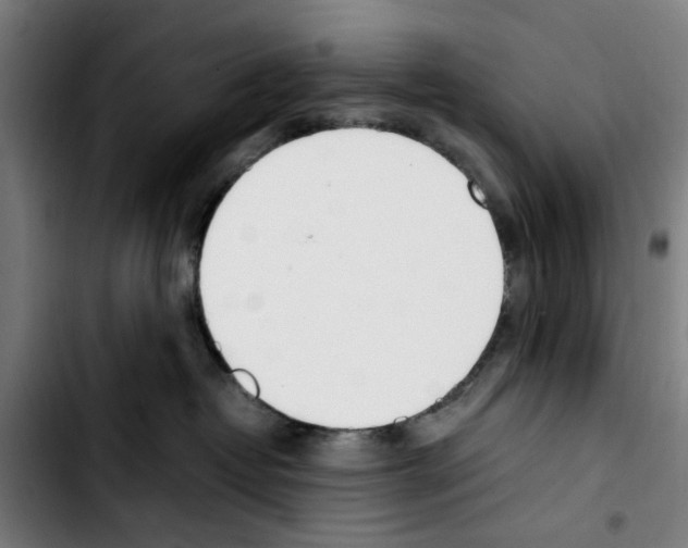 X0000103430382200810241104