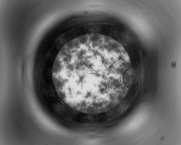 X0000103430383200810241104
