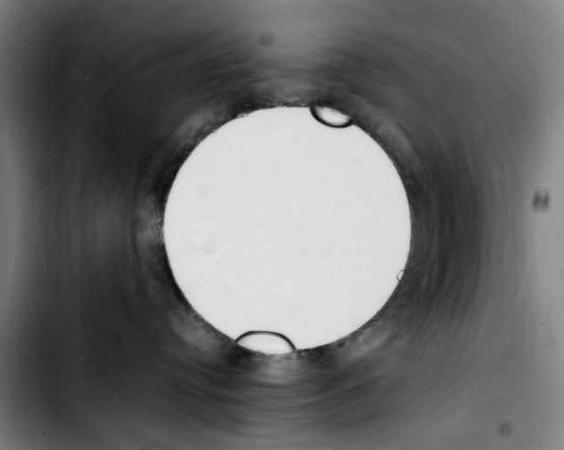 X0000103430384200810241104