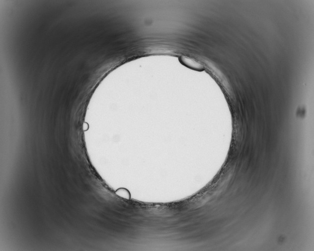 X0000103430385200810241104