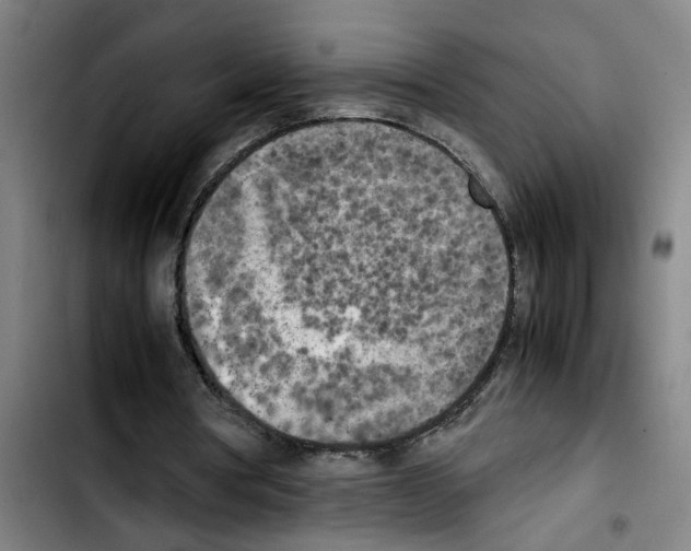 X0000103430386200810241103