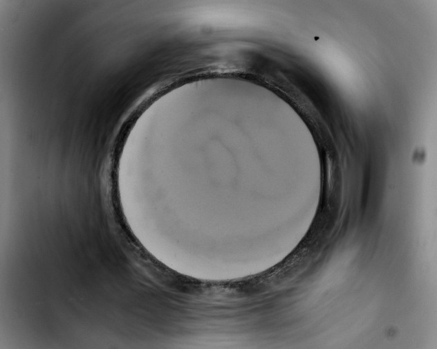 X0000103430387200810241103