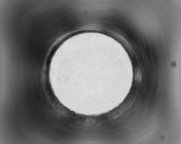 X0000103430388200810241103