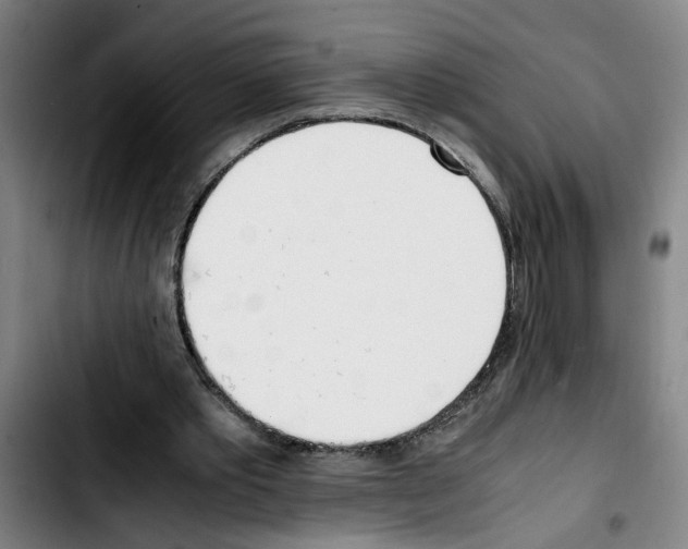 X0000103430389200810241103