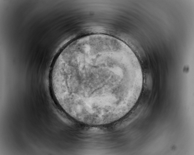 X0000103430390200810241103