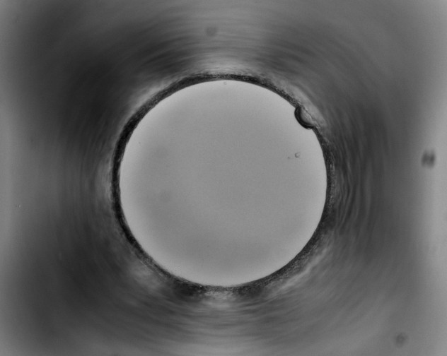 X0000103430391200810241103