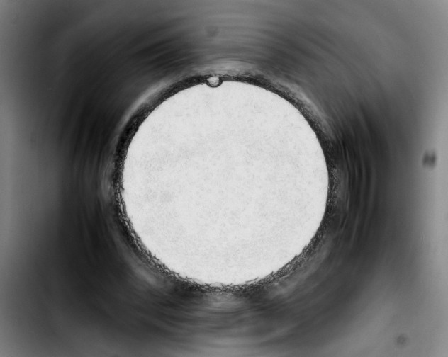 X0000103430392200810241103