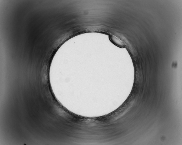 X0000103430393200810241103