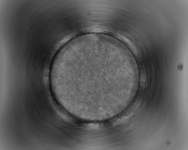 X0000103430394200810241103