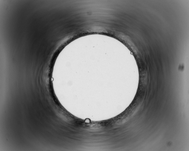 X0000103430395200810241103