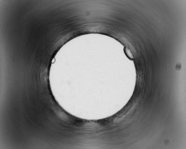 X0000103430397200810241103