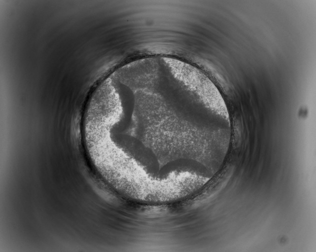 X0000103430398200810241103