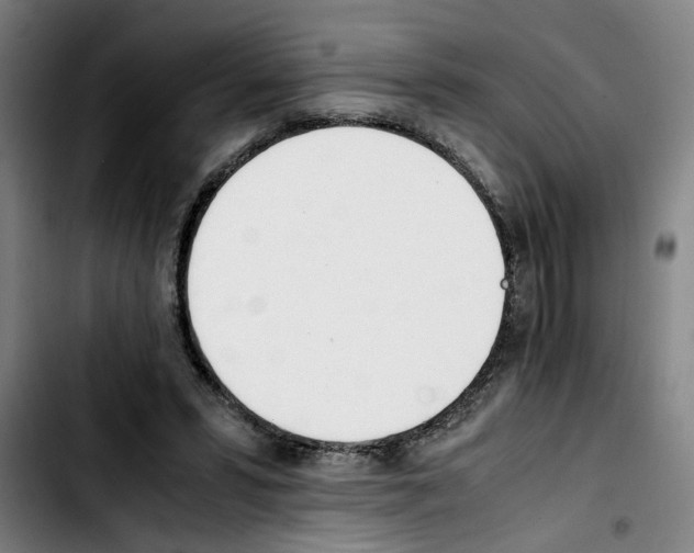 X0000103430399200810241103