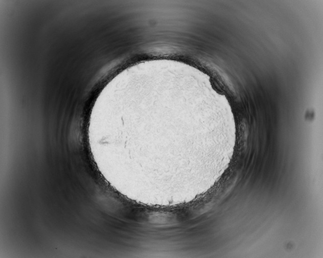 X0000103430400200810241103