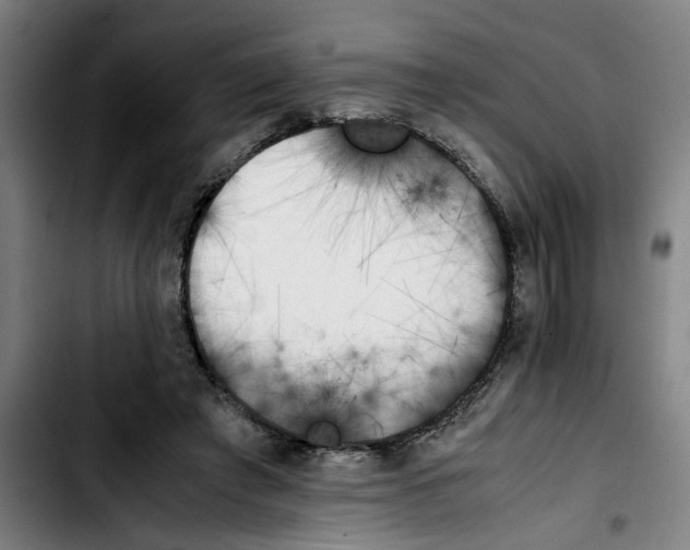 X0000103430401200810241103