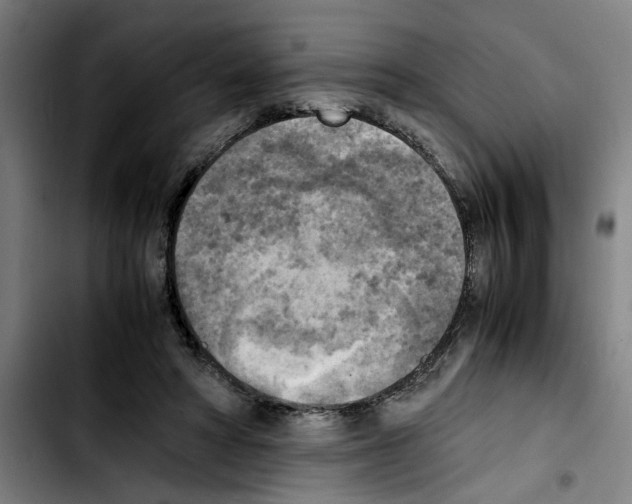 X0000103430402200810241103