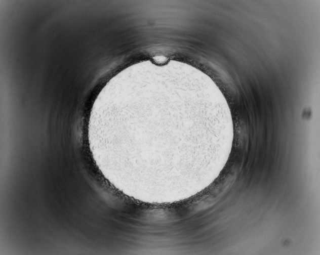 X0000103430404200810241103
