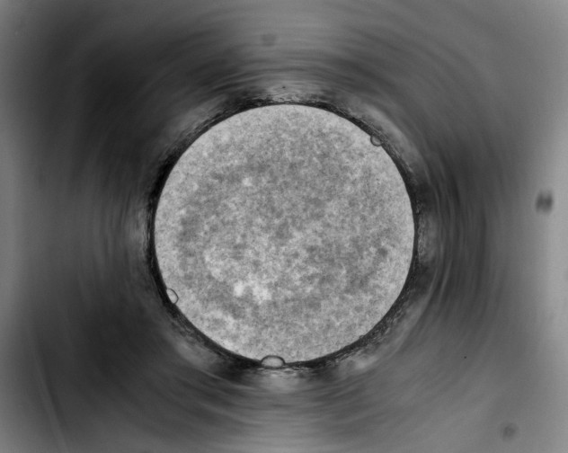 X0000103430405200810241103