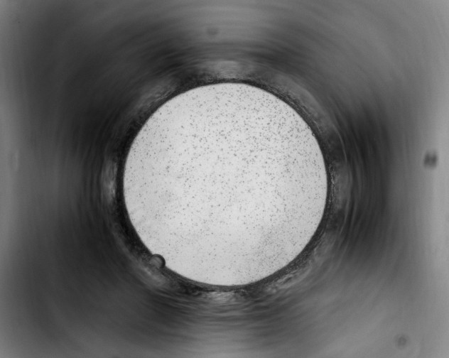 X0000103430406200810241103
