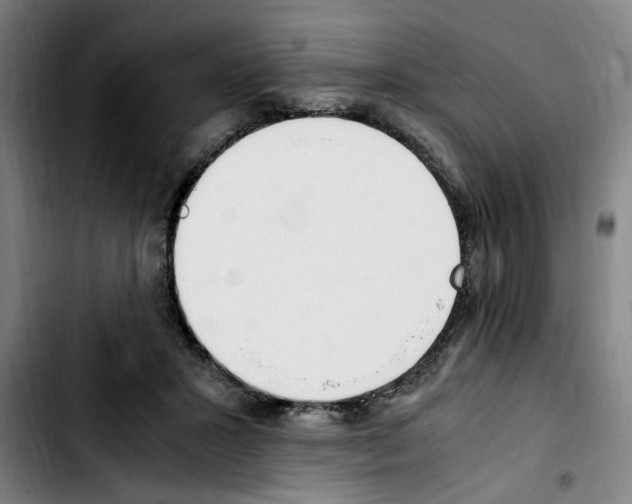 X0000103430407200810241103