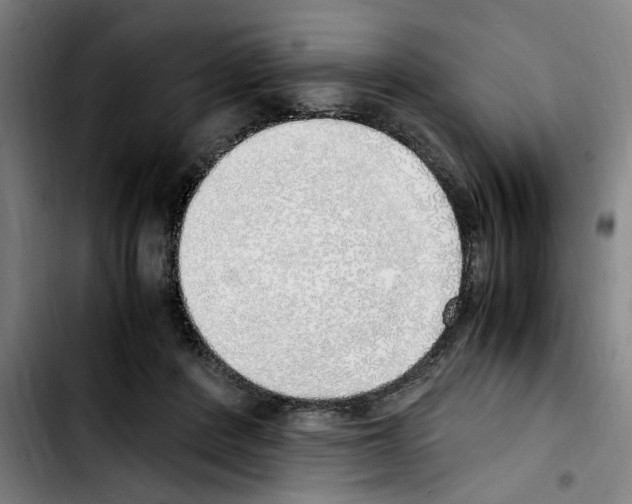 X0000103430408200810241103